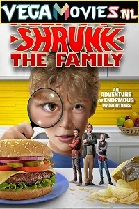 Help, Ive Shrunk the Family (2016) poster