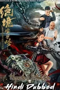 Hopeless Situation – Kung Fu Master Su (2022) WEB-DL Dual Audio {Hindi-Chinese} 480p - 720p - 1080p poster