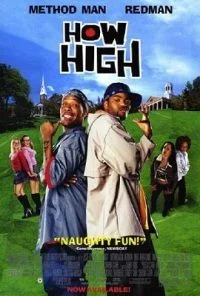 How High (2001) Dual Audio {Hindi-English} 480p - 720p - 1080p poster