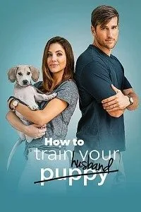 How to Train Your Husband (2018) Dual Audio {Hindi-English} 480p - 720p BluRay poster