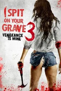[18+] I Spit on Your Grave 3: Vengeance Is Mine (2015) BluRay Dual Audio {Hindi-English} 480p - 720p - 1080p poster
