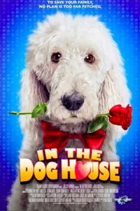 In the Dog House (2014) Dual Audio {Hindi-English} BluRay 480p poster
