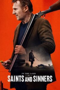 In the Land of Saints and Sinners (2023) Dual Audio {Hindi-English} BluRay 480p - 720p - 1080p poster