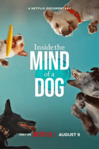 Inside The Mind Of A Dog (2024) WEB-DL Dual Audio {Hindi-English} 480p - 720p - 1080p poster