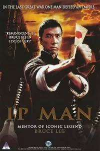 Ip Man (2008) Dual Audio {Hindi-Chinese} 480p - 720p - 1080p poster