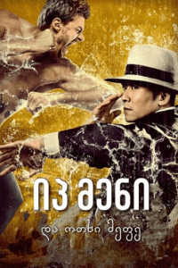 Ip Man and Four Kings (2021) poster