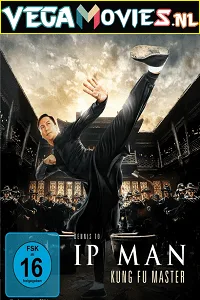 Ip Man: Kung Fu Master (2019) BluRay Hindi Dubbed [ORG] Full Movie 480p - 720p - 1080p poster