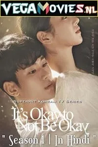 It’s Okay to Not Be Okay (Season 1) Dual Audio [Hindi-Korean] Complete Netflix Web Series 480p - 720p poster