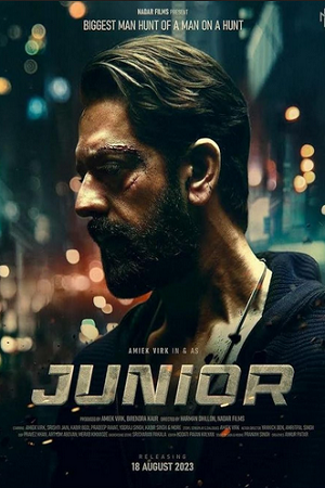 Junior (2023) Punjabi WEB-DL Full Movie 480p - 720p - 1080p poster