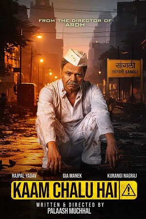 Kaam Chalu Hai (2024) Hindi DD5.1 ZEE5 WEB-DL 720p - 1080p - 2160p 4K poster
