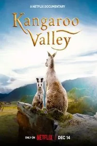 Kangaroo Valley (2022) Dual Audio {Hindi-English} 480p - 720p - 1080p poster