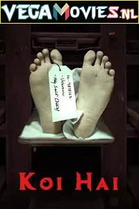 Koi Hai (2021) Season 1 Hindi MX Player Complete WEB Series 480p - 720p HDRip poster