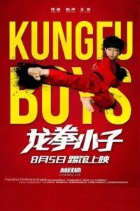 KungFu Boys (2016) Dual Audio {Hindi-Chinese} 480p - 720p - 1080p poster