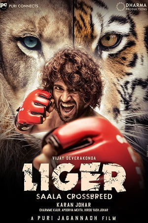 Liger (2022) Multi Audio [Hindi + Telugu + Tamil + Malayalam + Kannada] Full Movie WEB-DL 480p - 720p - 1080p - 2160p 4K poster