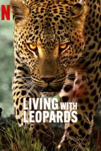 Living with Leopards (2024) {English with Subtitles} Full Movie WEB-DL 480p - 720p - 1080p poster