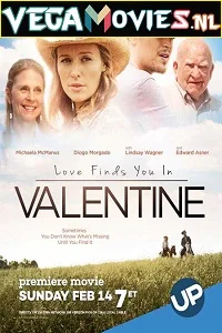 Love Finds You in Valentine (2016) Dual Audio {Hindi-English} 480p - 720p poster