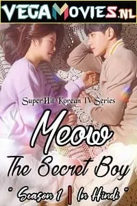 Meow the Secret Boy (2020) Season 1 Hindi Dubbed Complete MX Player WEB Series 480p - 720p WEB-DL poster