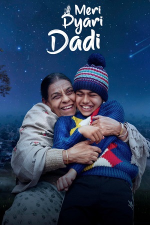 Meri Pyari Dadi (2025) poster