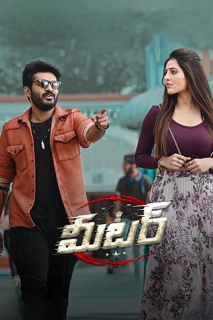 Meter (2023) UNCUT [Hindi ORG. + Telugu] WeB-DL 480p - 720p - 1080p poster