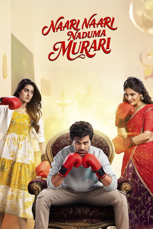 Naari Naari Naduma Murari (2026) Multi Audio {Hin+Tam+Tel+Kan} WeB-DL 480p - 720p - 1080p poster