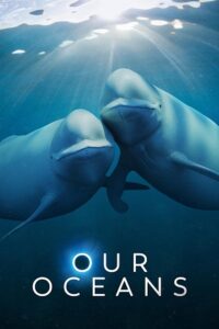 Our Oceans (2024) Season 1 Netflix Original – Dual Audio {Hindi-English} WEB Series 1080p & 720p WEB-DL poster