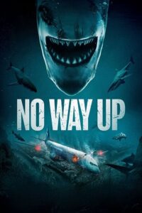 No Way Up (2024) Dual Audio [Hindi + English] WeB-DL 480p - 720p - 1080p poster