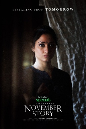November Story (2021) poster