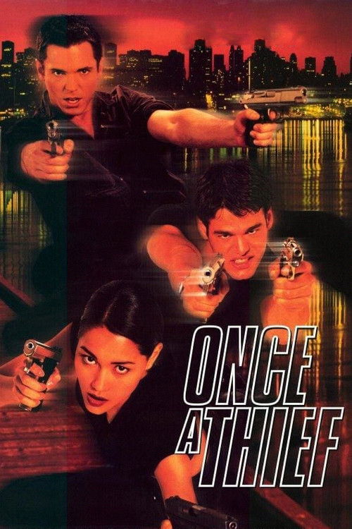 Once a Thief (1996) WEB-DL Dual Audio {Hindi-English} 480p - 720p - 1080p poster