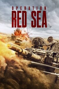 Operation Red Sea (2018) Dual Audio {Hindi-English} BluRay 480p - 720p - 1080p poster