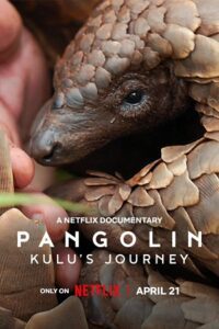Pangolin: Kulu’s Journey (2025) WEB-DL Dual Audio {Hindi-English} 480p - 720p - 1080p poster