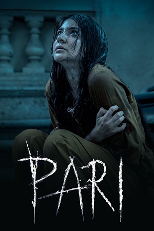 Pari (2018) Hindi Full Movie WEB-DL 480p - 720p - 1080p poster