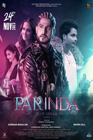 Parinda Paar Geyaa (2023) Punjabi Movie CHTV WEB-DL 480p - 720p - 1080p poster