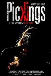 Pickings (2018) Dual Audio {Hindi-English} 480p - 720p poster