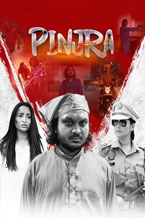 Pinjra (2025) WEB-DL {Punjabi DD5.1} Full Movie 480p - 720p - 1080p poster