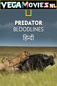 Predator Bloodlines (2021) Season 1 Hindi Complete DSNP WEB Series 480p - 720p HDRip poster