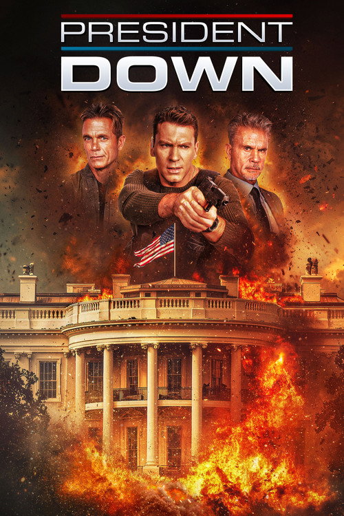 President Down (2025) BluRay Dual Audio {Hindi-English} 480p - 720p - 1080p poster