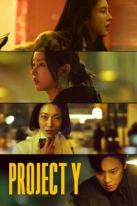 Project Y (2025) poster