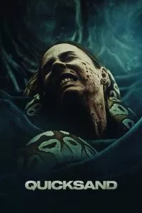 Quicksand (2023) WEB-DL {English With Subtitles} Full Movie 480p - 720p - 1080p poster