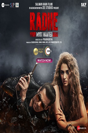 Radhe (2021) Hindi Full Movie WEB-DL 480p - 720p - 1080p poster