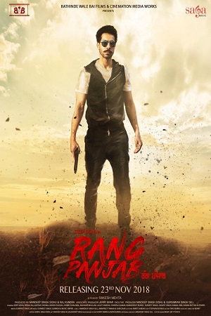 Rang Panjab (2018) Punjabi Full Movie 480p - 720p poster