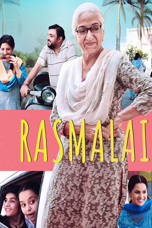 Rasmalai (Season 1) Punjabi Complete Web Series 480p - 720p - 1080p WEB-DL poster