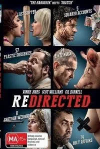 Redirected (2014) Dual Audio {Hindi-English} 480p - 720p poster