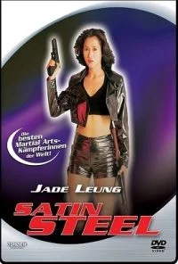Satin Steel (1994) Dual Audio Hindi 480p - 720p poster