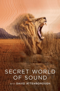 Secret World of Sound with David Attenborough – S01 (2024) Dual Audio {Hindi-English} WEB-Series 720p & 1080p WEB-DL poster