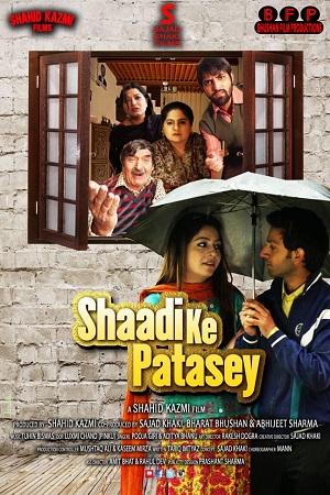Shaadi Ke Patasey (2019) Hindi Full Movie WEB-DL 480p - 720p - 1080p poster
