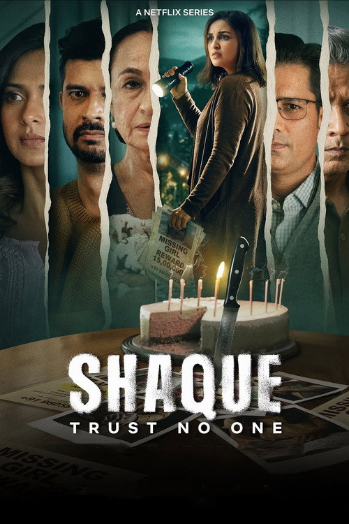 Shaque: Trust No One (Season 1) Hindi Netflix Original Complete Web Series 480p - 720p - 1080p WEB-DL poster