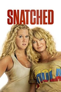 Snatched (2017) Dual Audio {Hindi-English} BluRay 480p - 720p poster