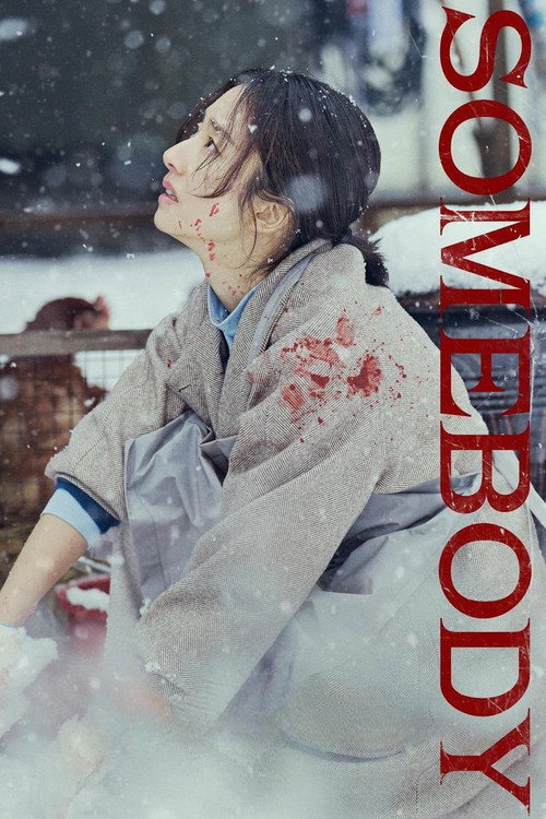 Somebody (2025) poster