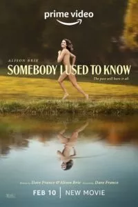 Somebody I Used to Know – Amazon Original (2023) WEB-DL Dual Audio {Hindi-English} 480p - 720p - 1080p poster