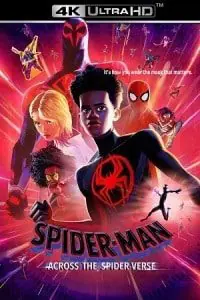 Spider-Man: Across the Spider-Verse (2023) BluRay Dual Audio {Hindi-English} 480p - 720p - 1080p - 2160p 4K SDR poster